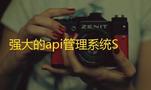 开挂器(免费)强大的api管理系统Storm Core API_V1.1免授权源码分享